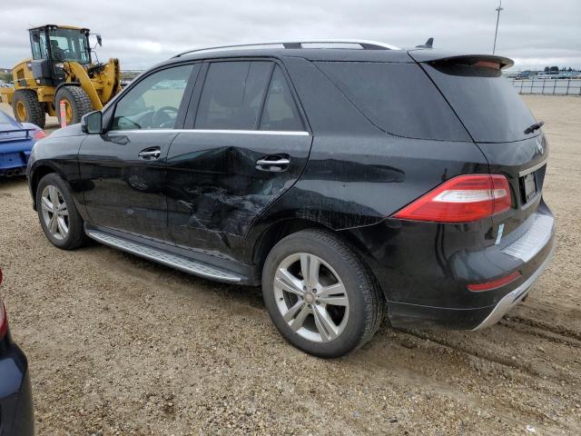 Photo 1 VIN: 4JGDA2EB3FA461275 - MERCEDES-BENZ ML 350 