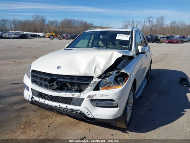 Photo 5 VIN: 4JGDA2EB4CA095354 - MERCEDES-BENZ ML 350 BLUETEC 