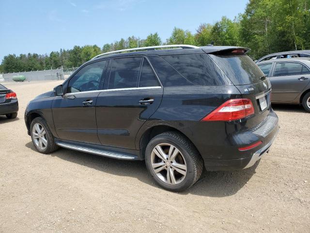 Photo 1 VIN: 4JGDA2EB6DA209839 - MERCEDES-BENZ ML 350 BLU 