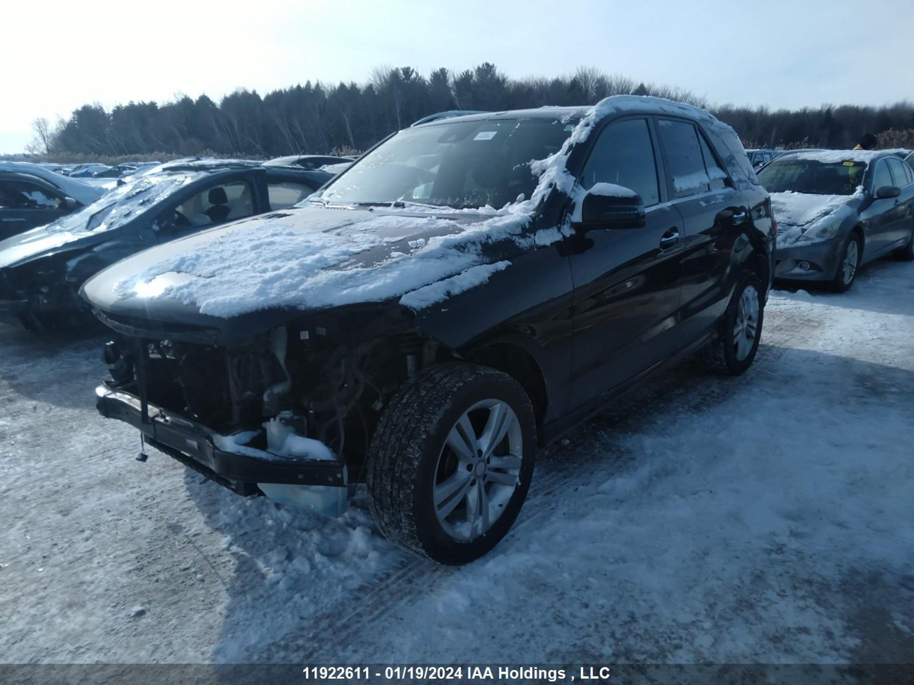 Photo 1 VIN: 4JGDA2EB6FA538284 - MERCEDES-BENZ M-KLASSE 