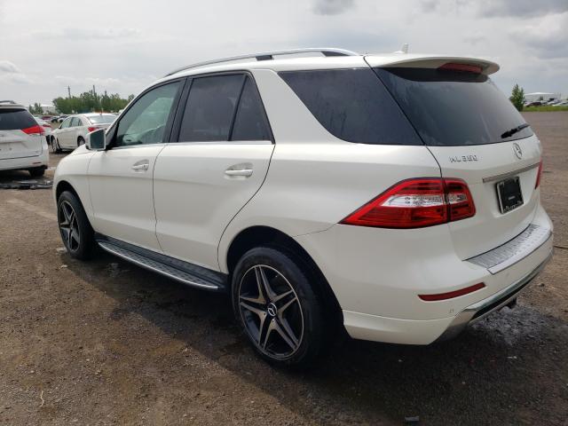 Photo 2 VIN: 4JGDA2EB6FA581748 - MERCEDES-BENZ ML 350 