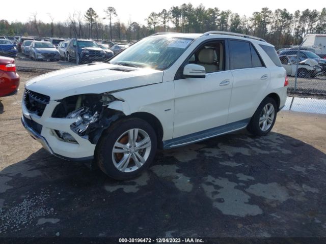 Photo 1 VIN: 4JGDA2EB8CA004456 - MERCEDES-BENZ ML 