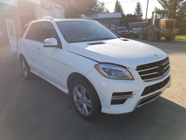 Photo 3 VIN: 4JGDA2EB8EA434703 - MERCEDES-BENZ ML 350 BLU 