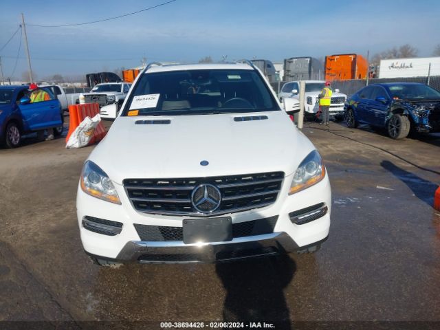 Photo 5 VIN: 4JGDA2EBXEA412539 - MERCEDES-BENZ ML 350 BLUETEC 