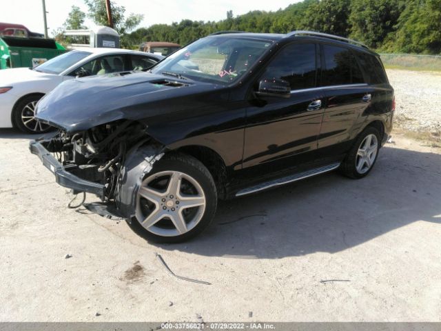 Photo 1 VIN: 4JGDA5GB6FA558372 - MERCEDES-BENZ M-CLASS 