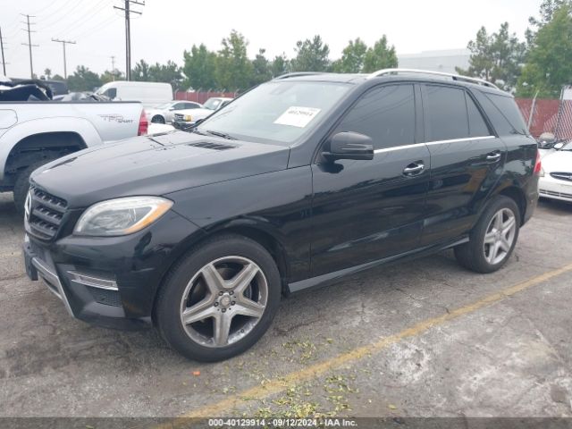 Photo 1 VIN: 4JGDA5GB7FA480202 - MERCEDES-BENZ ML-CLASS 