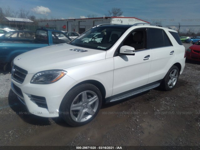 Photo 1 VIN: 4JGDA5GB8FA505446 - MERCEDES-BENZ M-CLASS 