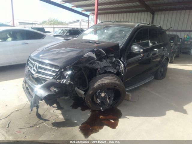 Photo 1 VIN: 4JGDA5GB9FA574405 - MERCEDES-BENZ M-CLASS 