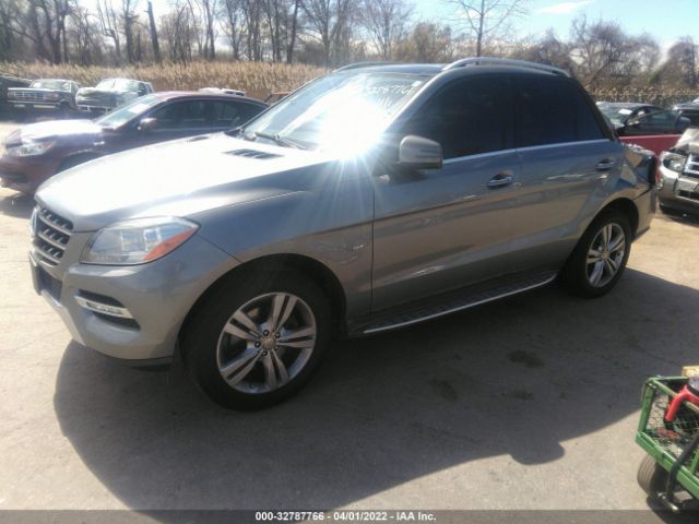 Photo 1 VIN: 4JGDA5HB0CA016890 - MERCEDES-BENZ M-CLASS 