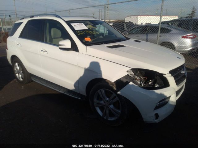 Photo 0 VIN: 4JGDA5HB0DA176463 - MERCEDES-BENZ M-CLASS 