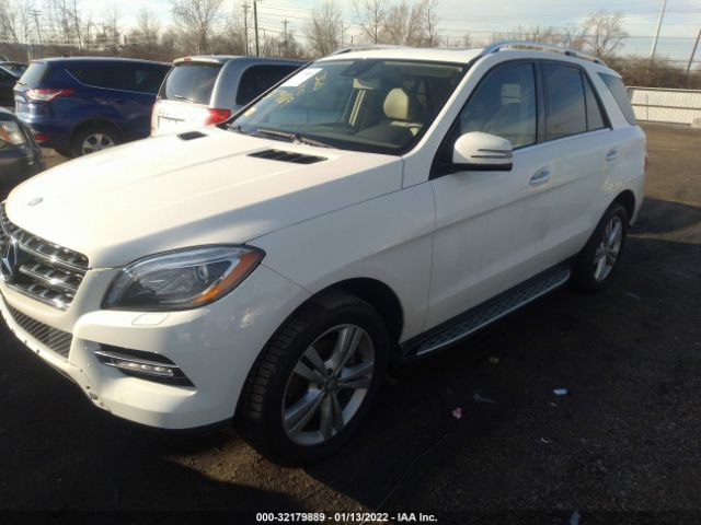 Photo 1 VIN: 4JGDA5HB0DA176463 - MERCEDES-BENZ M-CLASS 