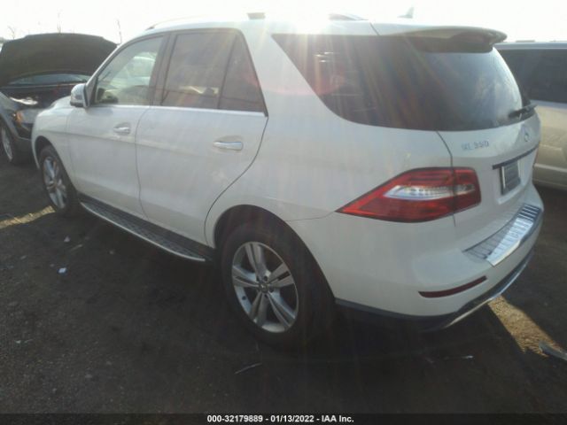 Photo 2 VIN: 4JGDA5HB0DA176463 - MERCEDES-BENZ M-CLASS 