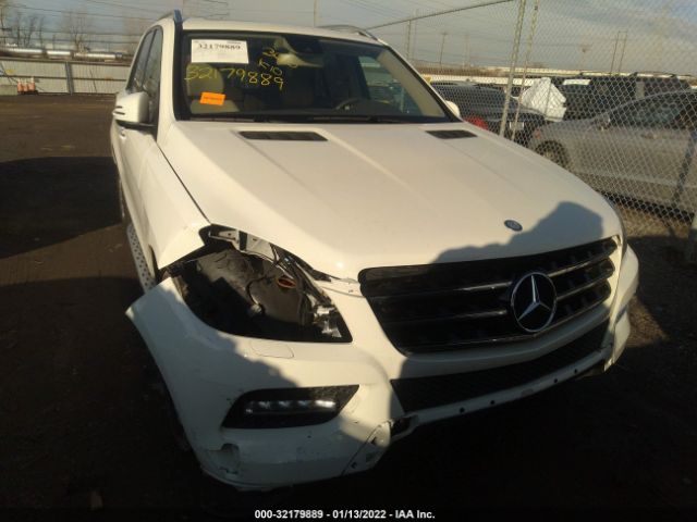 Photo 5 VIN: 4JGDA5HB0DA176463 - MERCEDES-BENZ M-CLASS 