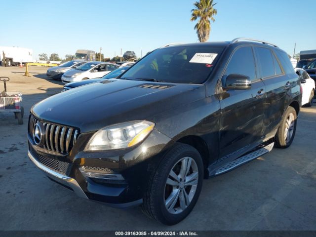 Photo 1 VIN: 4JGDA5HB0DA222762 - MERCEDES-BENZ ML 350 