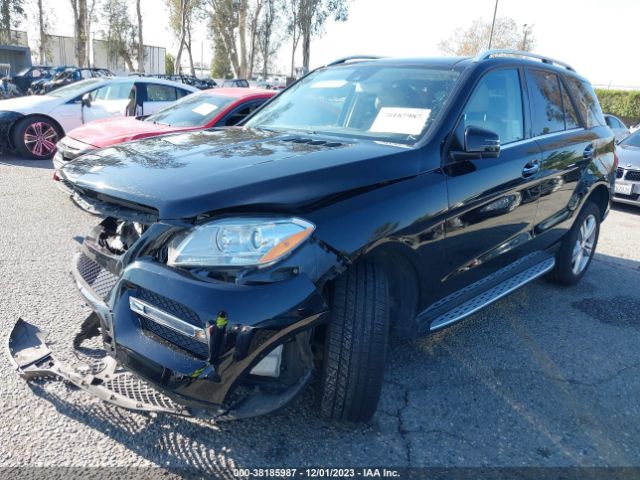 Photo 1 VIN: 4JGDA5HB0EA395246 - MERCEDES-BENZ ML 350 