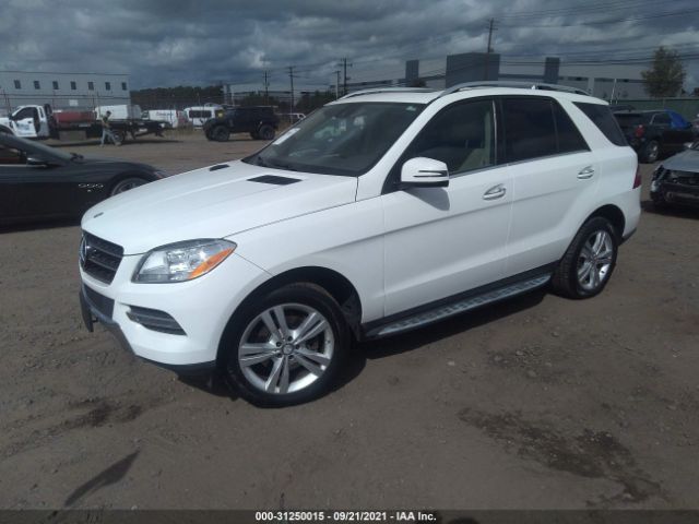 Photo 1 VIN: 4JGDA5HB0FA473204 - MERCEDES-BENZ M-CLASS 