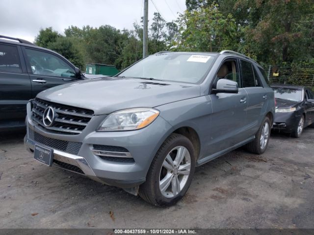 Photo 1 VIN: 4JGDA5HB0FA567616 - MERCEDES-BENZ ML-CLASS 