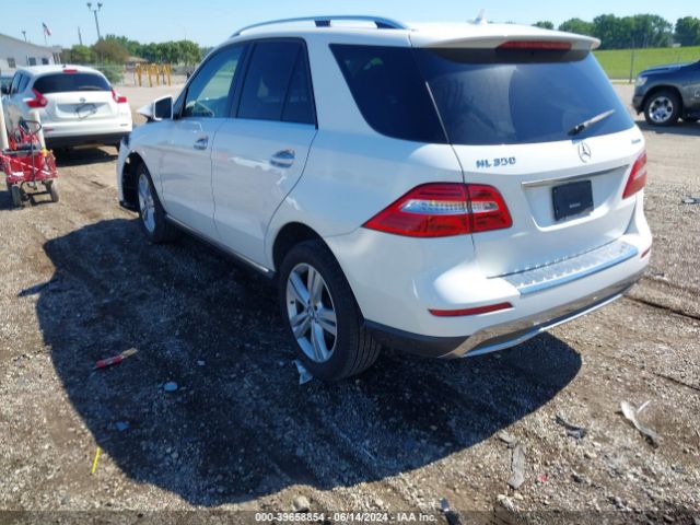 Photo 2 VIN: 4JGDA5HB0FA615504 - MERCEDES-BENZ ML-CLASS 