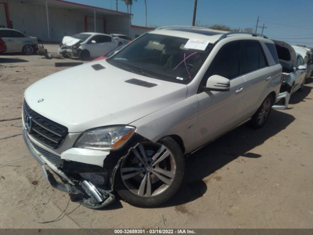 Photo 1 VIN: 4JGDA5HB1CA030135 - MERCEDES-BENZ M-CLASS 