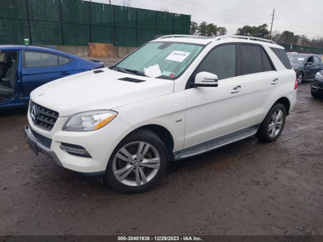 Photo 1 VIN: 4JGDA5HB1CA039014 - MERCEDES-BENZ ML 350 