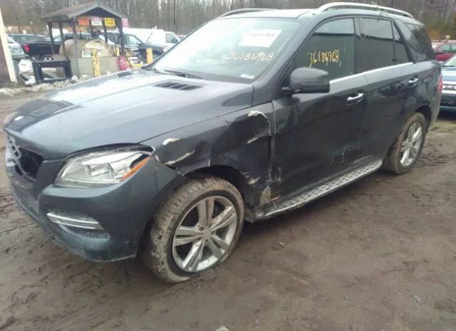 Photo 1 VIN: 4JGDA5HB1DA156819 - MERCEDES-BENZ M-CLASS 