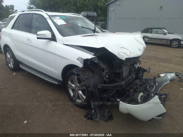 Photo 0 VIN: 4JGDA5HB1EA382974 - MERCEDES-BENZ M-CLASS 