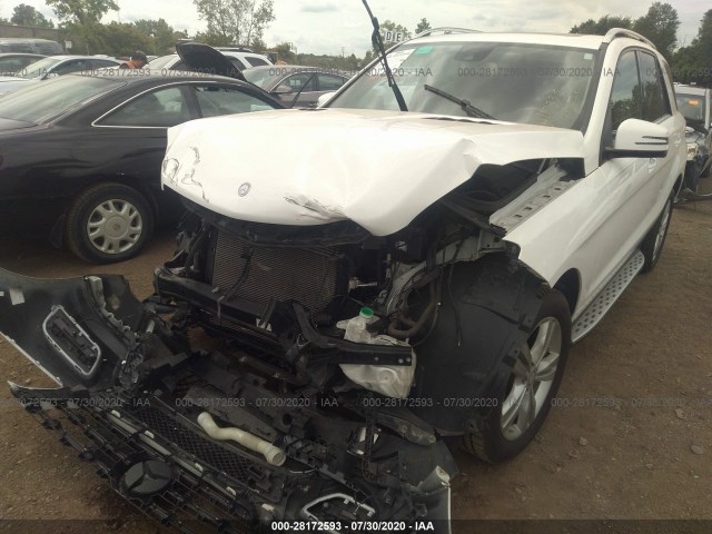 Photo 1 VIN: 4JGDA5HB1EA382974 - MERCEDES-BENZ M-CLASS 