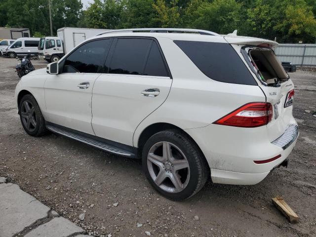 Photo 1 VIN: 4JGDA5HB1EA411972 - MERCEDES-BENZ ML 350 4MA 