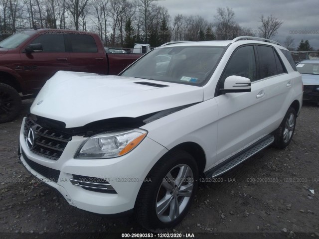 Photo 1 VIN: 4JGDA5HB1FA476063 - MERCEDES-BENZ M-CLASS 