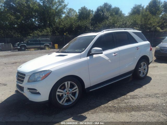 Photo 1 VIN: 4JGDA5HB1FA557712 - MERCEDES-BENZ M-CLASS 