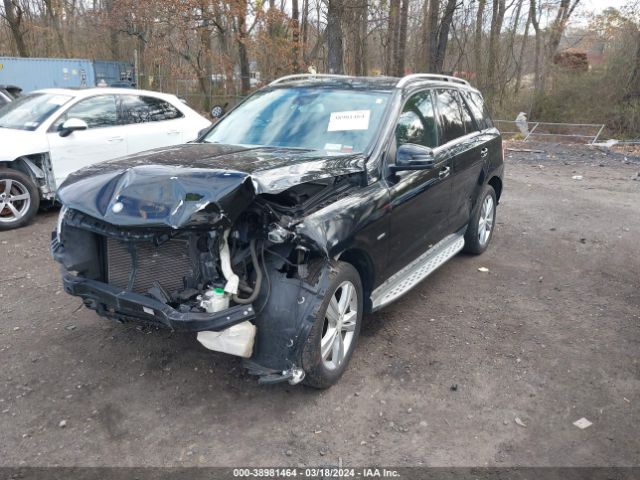 Photo 1 VIN: 4JGDA5HB2CA024246 - MERCEDES-BENZ ML 350 