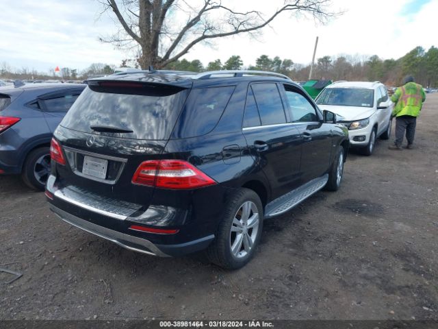 Photo 3 VIN: 4JGDA5HB2CA024246 - MERCEDES-BENZ ML 350 