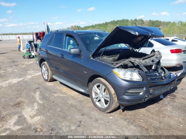 Photo 0 VIN: 4JGDA5HB2CA029818 - MERCEDES-BENZ ML 350 