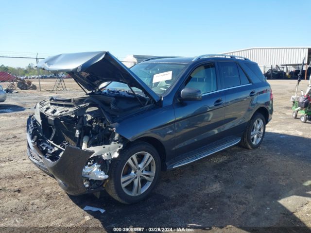 Photo 1 VIN: 4JGDA5HB2CA029818 - MERCEDES-BENZ ML 350 