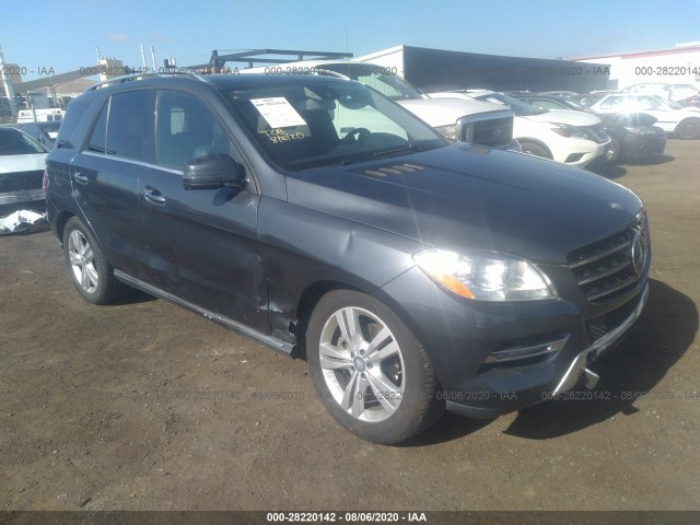 Photo 0 VIN: 4JGDA5HB2DA120475 - MERCEDES-BENZ M-CLASS 