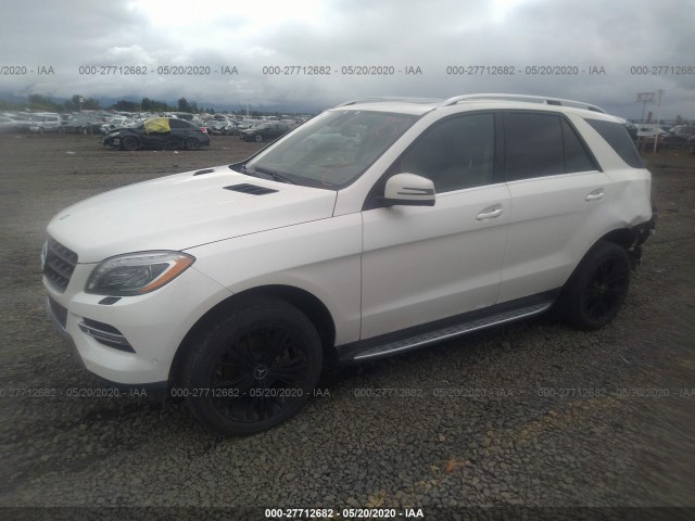 Photo 1 VIN: 4JGDA5HB2DA122095 - MERCEDES-BENZ M-CLASS 