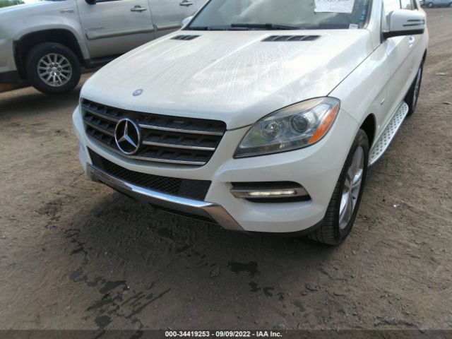 Photo 5 VIN: 4JGDA5HB3CA010811 - MERCEDES-BENZ M-CLASS 