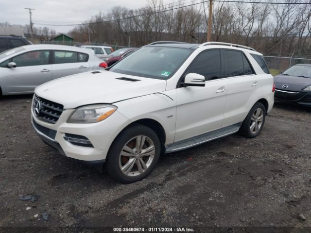 Photo 1 VIN: 4JGDA5HB3CA020920 - MERCEDES-BENZ ML 350 