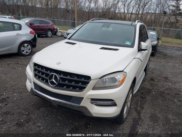 Photo 5 VIN: 4JGDA5HB3CA020920 - MERCEDES-BENZ ML 350 