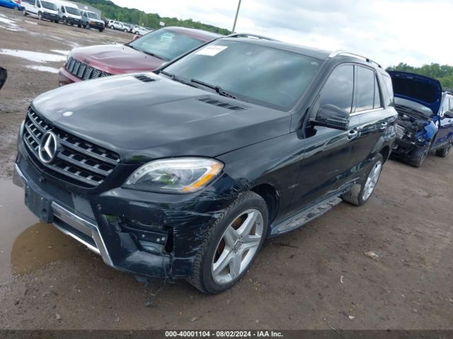 Photo 1 VIN: 4JGDA5HB3FA487145 - MERCEDES-BENZ ML-CLASS 