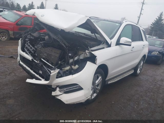 Photo 1 VIN: 4JGDA5HB3FA509869 - MERCEDES-BENZ ML 350 