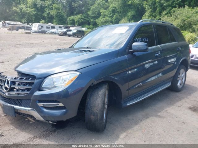 Photo 1 VIN: 4JGDA5HB3FA593384 - MERCEDES-BENZ ML-CLASS 