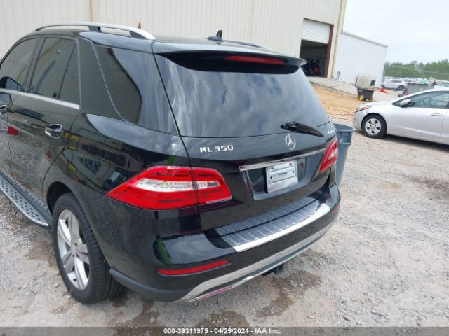 Photo 5 VIN: 4JGDA5HB4DA210257 - MERCEDES-BENZ ML 