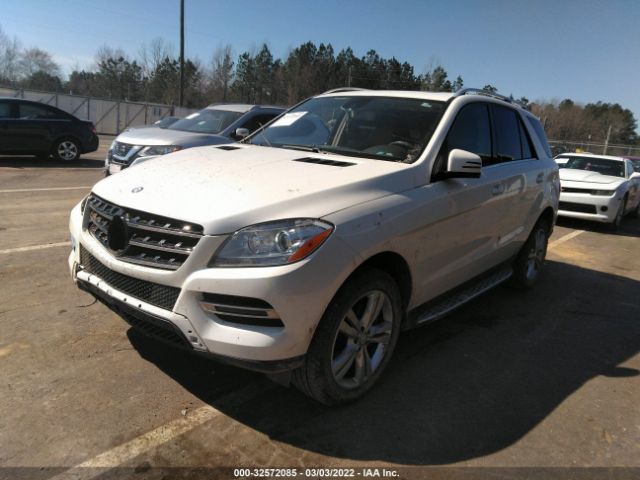 Photo 1 VIN: 4JGDA5HB5DA101435 - MERCEDES-BENZ M-CLASS 