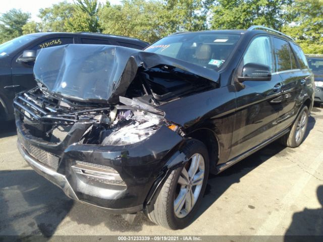 Photo 1 VIN: 4JGDA5HB5DA210106 - MERCEDES-BENZ M-CLASS 