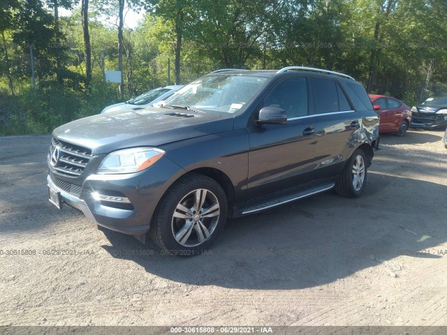 Photo 1 VIN: 4JGDA5HB5EA273823 - MERCEDES-BENZ M-CLASS 