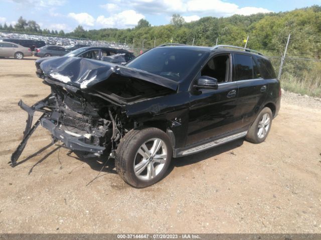 Photo 1 VIN: 4JGDA5HB5EA348407 - MERCEDES-BENZ ML 350 