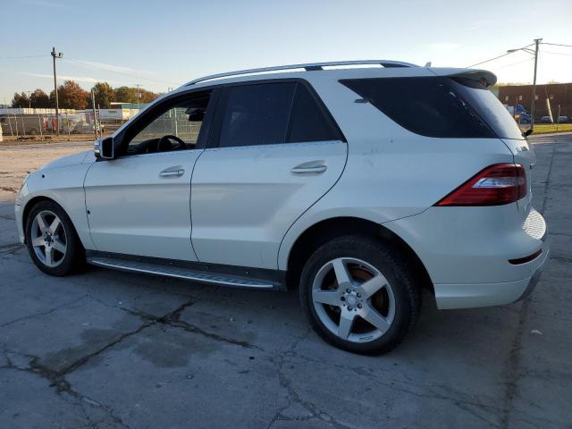 Photo 1 VIN: 4JGDA5HB5EA439256 - MERCEDES-BENZ M-CLASS 