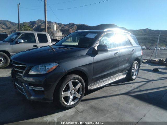 Photo 1 VIN: 4JGDA5HB5FA507198 - MERCEDES-BENZ ML 350 