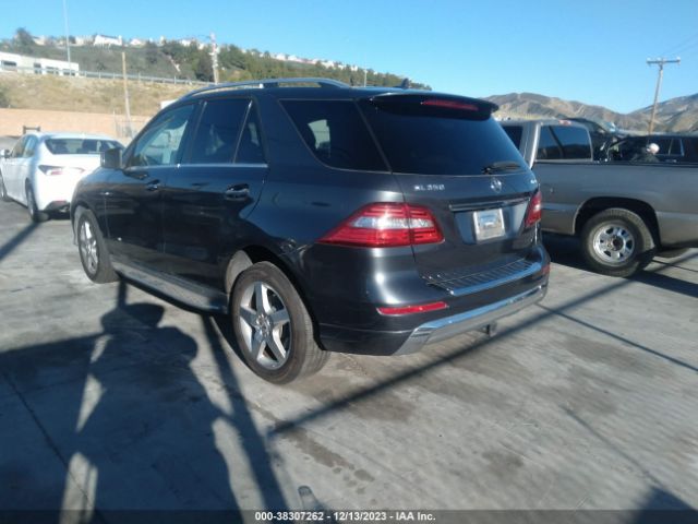 Photo 2 VIN: 4JGDA5HB5FA507198 - MERCEDES-BENZ ML 350 